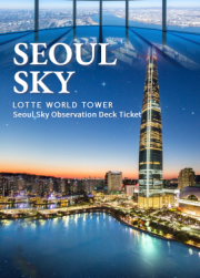首尔天空（Lotte World Tower观景台）入场券